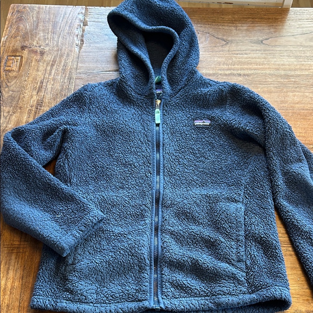 Patagonia Kids Blue Fleece Hoodie